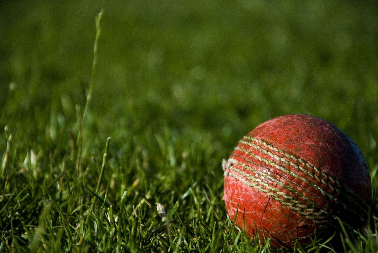 Red leather cricket ball on grass