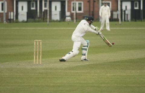 Cover drive in the Sunday friendly